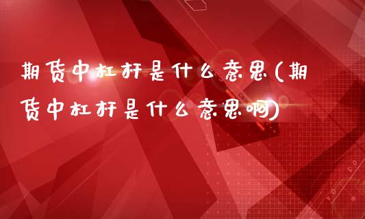 期货中杠杆是什么意思(期货中杠杆是什么意思啊)_https://m.qdlswl.com_恒生指数直播喊单_第1张
