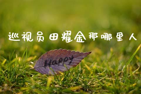 巡视员田耀金那哪里人_https://m.qdlswl.com_恒指在线直播间_第1张