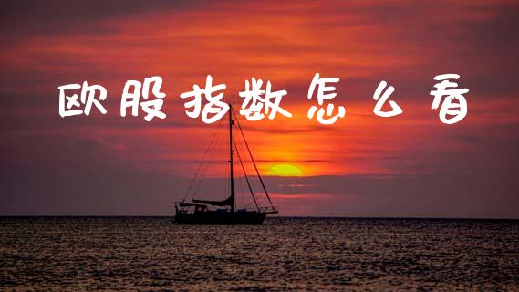 欧股指数怎么看_https://m.qdlswl.com_恒生指数直播喊单_第1张