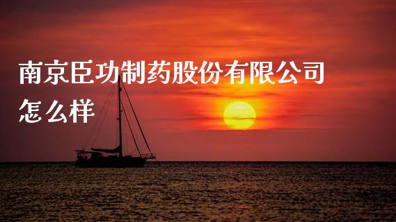 南京臣功制药股份有限公司怎么样_https://m.qdlswl.com_恒指在线直播间_第1张