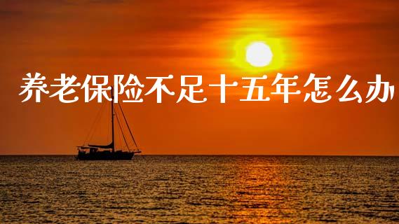 养老保险不足十五年怎么办_https://m.qdlswl.com_恒指在线直播间_第1张