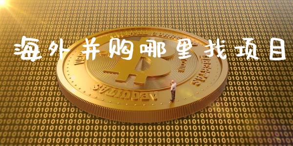 海外并购哪里找项目_https://m.qdlswl.com_纳指直播_第1张