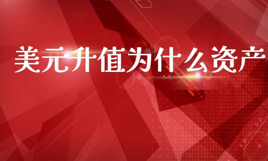 美元升值为什么资产_https://m.qdlswl.com_恒指在线直播间_第1张