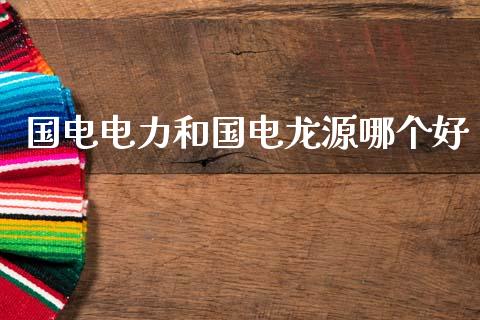 国电电力和国电龙源哪个好_https://m.qdlswl.com_恒生指数直播喊单_第1张
