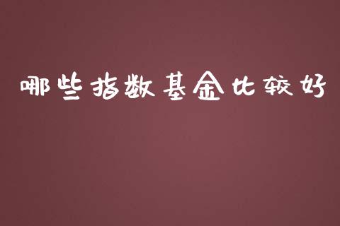 哪些指数基金比较好_https://m.qdlswl.com_恒生指数直播喊单_第1张