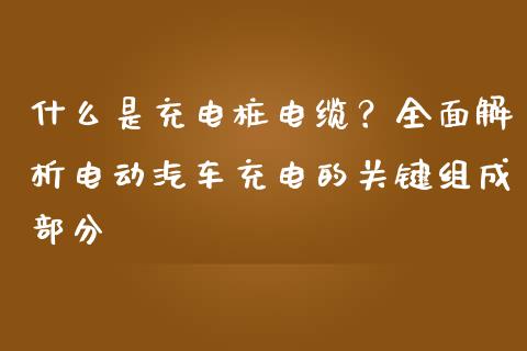 什么是充电桩电缆？全面解析电动汽车充电的关键组成部分_https://m.qdlswl.com_恒生指数直播喊单_第1张