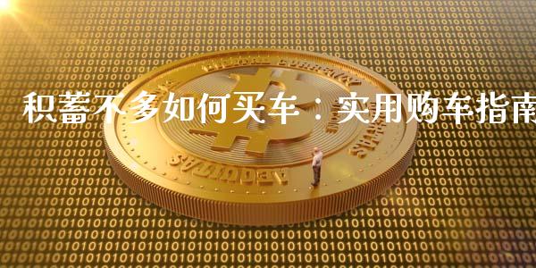 积蓄不多如何买车：实用购车指南_https://m.qdlswl.com_恒生指数直播喊单_第1张