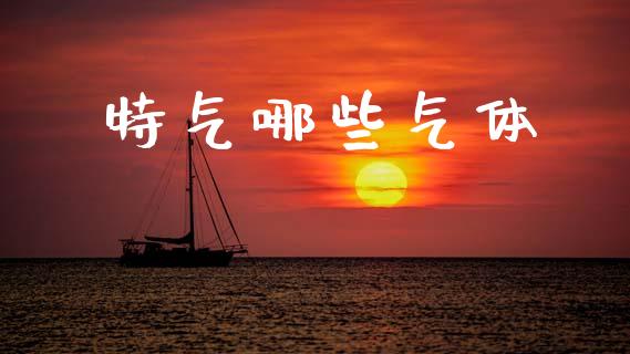 特气哪些气体_https://m.qdlswl.com_恒指在线直播间_第1张