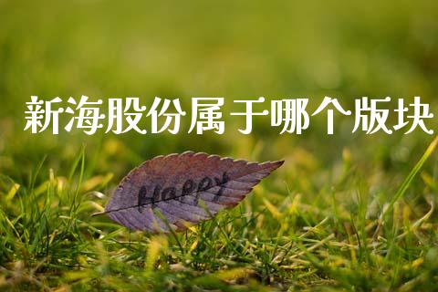 新海股份属于哪个版块_https://m.qdlswl.com_纳指直播_第1张
