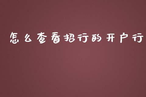 怎么查看招行的开户行_https://m.qdlswl.com_恒指在线直播间_第1张