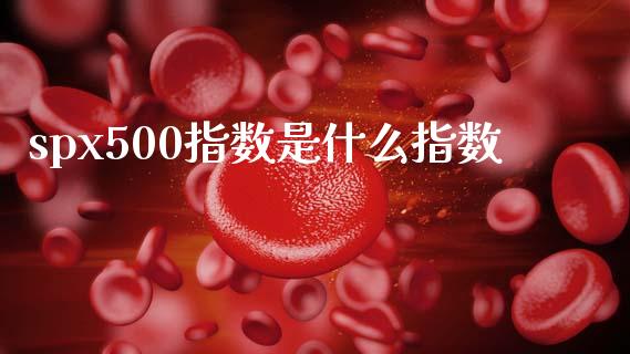 spx500指数是什么指数_https://m.qdlswl.com_恒生指数直播喊单_第1张