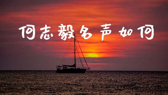 何志毅名声如何_https://m.qdlswl.com_恒指德指直播室_第1张