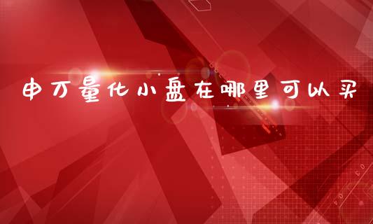 申万量化小盘在哪里可以买_https://m.qdlswl.com_恒生指数直播喊单_第1张
