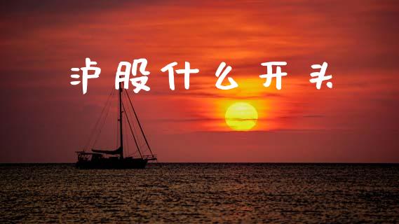 泸股什么开头_https://m.qdlswl.com_恒指在线直播间_第1张