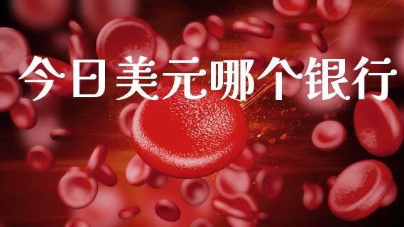 今日美元哪个银行_https://m.qdlswl.com_恒生指数直播喊单_第1张