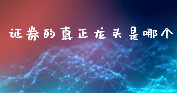 证券的真正龙头是哪个_https://m.qdlswl.com_纳指直播_第1张