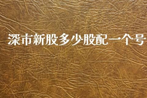 深市新股多少股配一个号_https://m.qdlswl.com_恒生指数直播喊单_第1张
