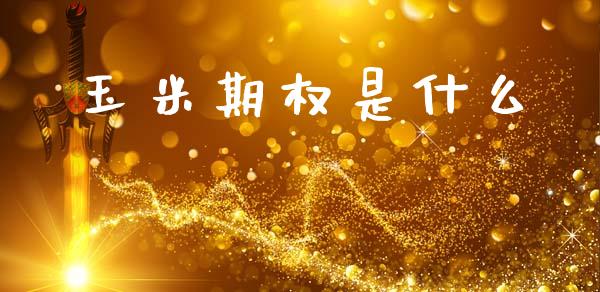 玉米期权是什么_https://m.qdlswl.com_恒生指数直播喊单_第1张