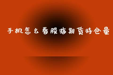手机怎么看股指期货持仓量_https://m.qdlswl.com_恒指在线直播间_第1张