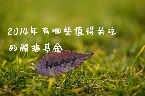 2014年有哪些值得关注的股指基金_https://m.qdlswl.com_恒生指数直播喊单_第1张