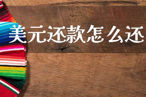 美元还款怎么还_https://m.qdlswl.com_恒指在线直播间_第1张