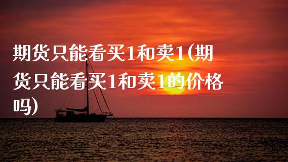期货只能看买1和卖1(期货只能看买1和卖1的价格吗)_https://m.qdlswl.com_恒指德指直播室_第1张