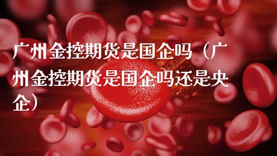 广州金控期货是国企吗（广州金控期货是国企吗还是央企）_https://m.qdlswl.com_恒生指数直播喊单_第1张