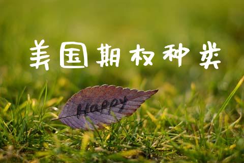 美国期权种类_https://m.qdlswl.com_纳指直播_第1张