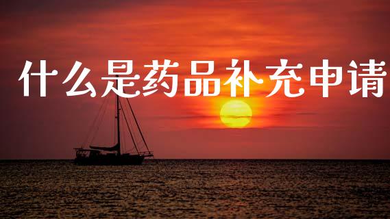 什么是药品补充申请_https://m.qdlswl.com_恒指德指直播室_第1张