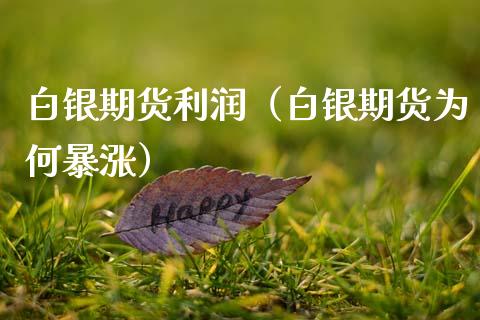 白银期货利润（白银期货为何暴涨）_https://m.qdlswl.com_纳指直播_第1张
