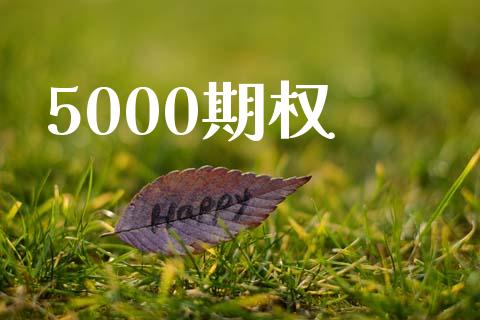 5000期权_https://m.qdlswl.com_恒指德指直播室_第1张