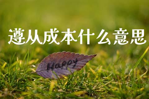 遵从成本什么意思_https://m.qdlswl.com_恒指在线直播间_第1张