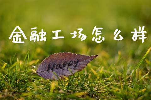 金融工场怎么样_https://m.qdlswl.com_恒生指数直播喊单_第1张