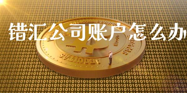 错汇公司账户怎么办_https://m.qdlswl.com_纳指直播_第1张