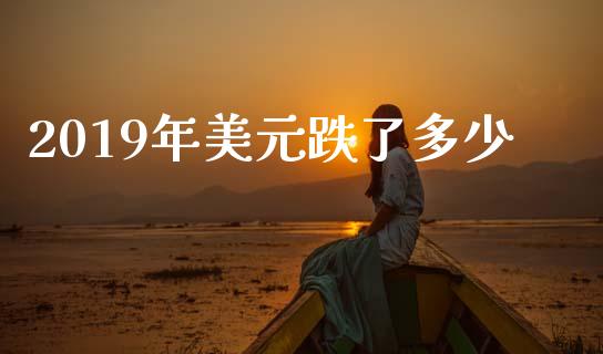 2019年美元跌了多少_https://m.qdlswl.com_恒指德指直播室_第1张