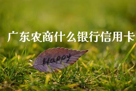 广东农商什么银行信用卡_https://m.qdlswl.com_恒生指数直播喊单_第1张