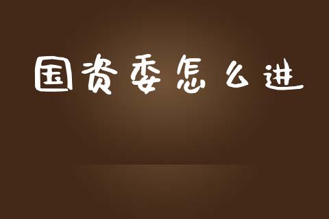 国资委怎么进_https://m.qdlswl.com_恒指德指直播室_第1张