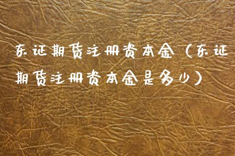 东证期货注册资本金（东证期货注册资本金是多少）_https://m.qdlswl.com_恒生指数直播喊单_第1张