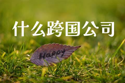什么跨国公司_https://m.qdlswl.com_纳指直播_第1张