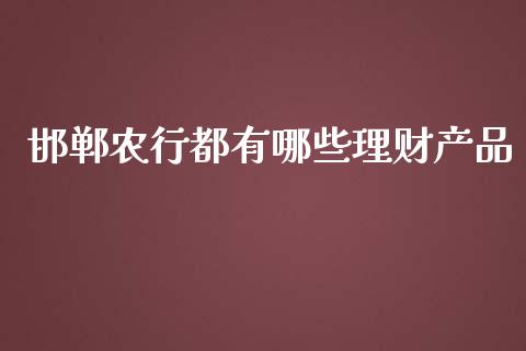 邯郸农行都有哪些理财产品_https://m.qdlswl.com_纳指直播_第1张