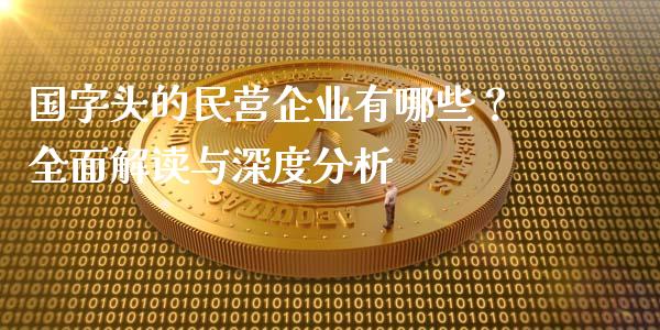 国字头的民营企业有哪些？全面解读与深度分析_https://m.qdlswl.com_纳指直播_第1张
