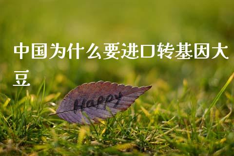中国为什么要进口转基因大豆_https://m.qdlswl.com_恒指德指直播室_第1张