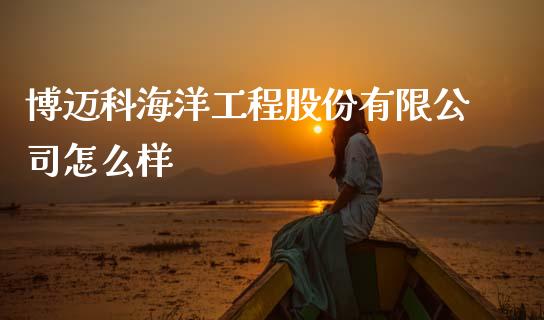 博迈科海洋工程股份有限公司怎么样_https://m.qdlswl.com_纳指直播_第1张