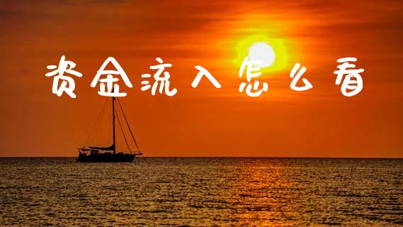资金流入怎么看_https://m.qdlswl.com_恒指德指直播室_第1张