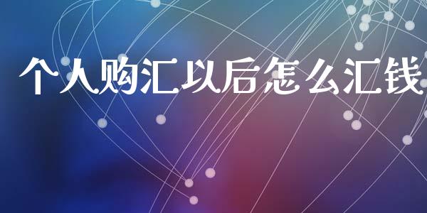 个人购汇以后怎么汇钱_https://m.qdlswl.com_恒指在线直播间_第1张