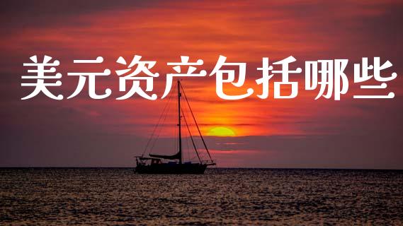美元资产包括哪些_https://m.qdlswl.com_恒生指数直播喊单_第1张