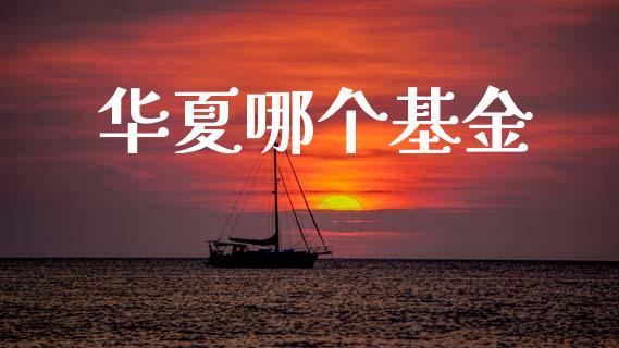 华夏哪个基金_https://m.qdlswl.com_恒生指数直播喊单_第1张