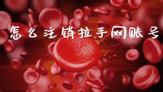 怎么注销拉手网账号_https://m.qdlswl.com_恒指德指直播室_第1张