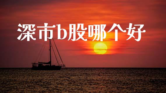深市b股哪个好_https://m.qdlswl.com_纳指直播_第1张