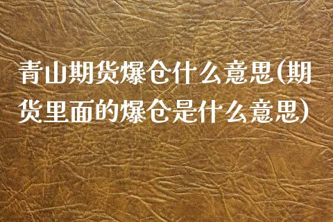 青山期货爆仓什么意思(期货里面的爆仓是什么意思)_https://m.qdlswl.com_恒指在线直播间_第1张